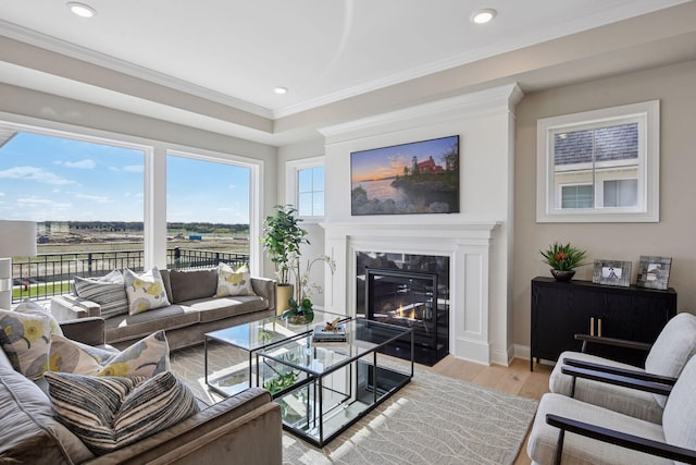 9155 Mills Dr, Chanhassen, MN 55317 - living room featuring light wood finished floors, a premium fireplace, crown molding, baseboards, and recessed lighting