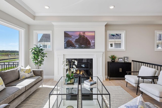 9155 Mills Dr, Chanhassen, MN 55317 - living room featuring crown molding, light wood-type flooring, and recessed lighting
