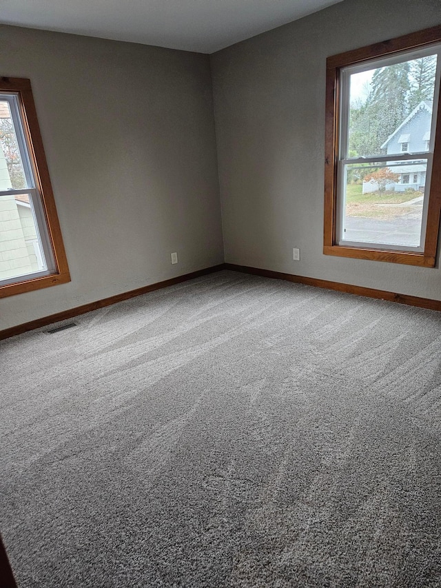 spare room with carpet and a healthy amount of sunlight