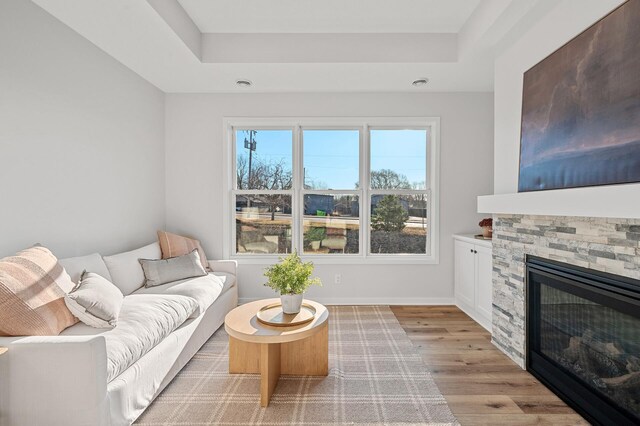 371 Liberty Dr, Hanover, MN 55341 - living room featuring a tray ceiling, light wood finished floors, and a fireplace