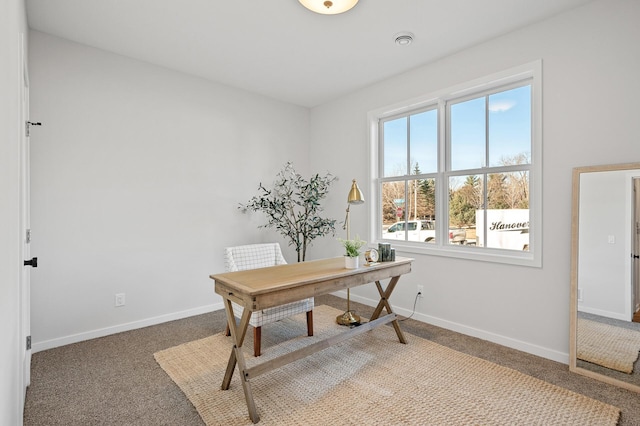 carpeted office with plenty of natural light