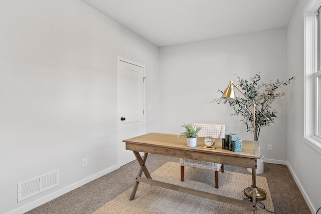 371 Liberty Dr, Hanover, MN 55341 - office space featuring carpet flooring, baseboards, and visible vents