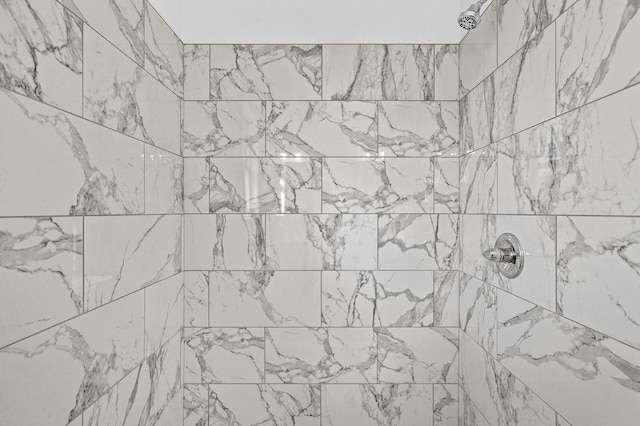 371 Liberty Dr, Hanover, MN 55341 - interior details with tiled shower