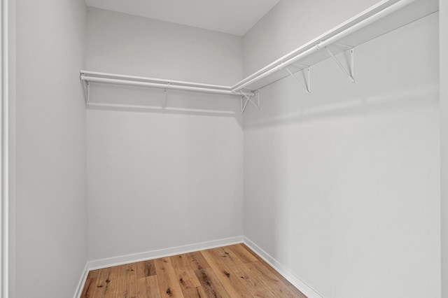 walk in closet featuring hardwood / wood-style flooring