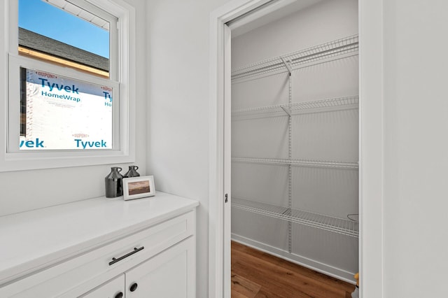 371 Liberty Dr, Hanover, MN 55341 - view of closet