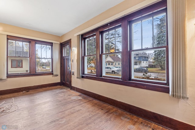 empty room featuring plenty of natural light and wood-type flooring