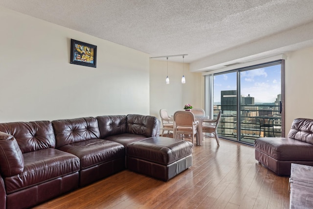 living room with a textured ceiling and hardwood / wood-style flooring