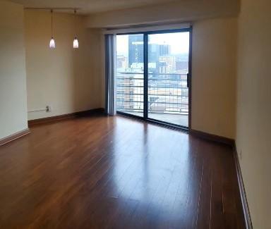 unfurnished room with dark wood-type flooring