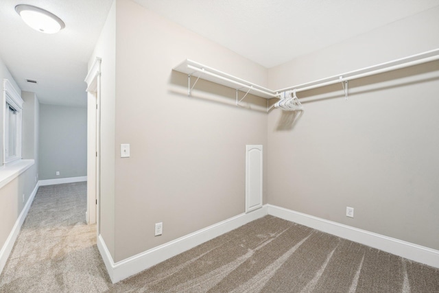 walk in closet with carpet flooring