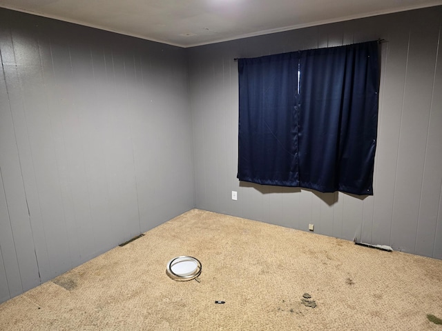 carpeted spare room with wooden walls