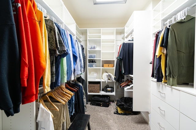 walk in closet featuring carpet flooring