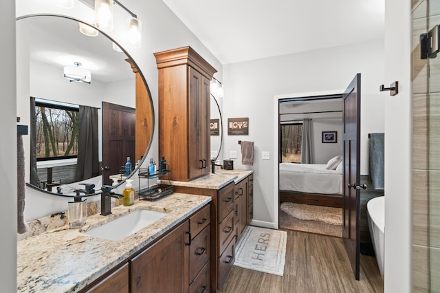 bathroom with hardwood / wood-style floors and vanity