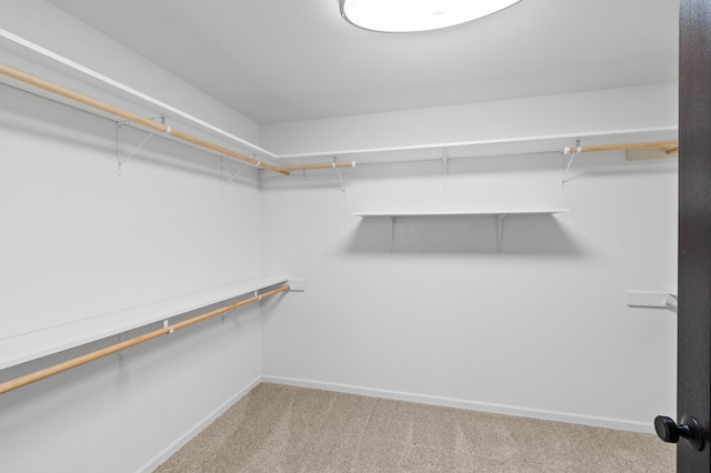 walk in closet with carpet