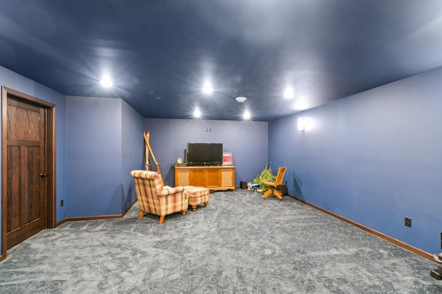 sitting room featuring carpet floors