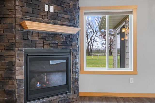 details featuring hardwood / wood-style floors and a fireplace