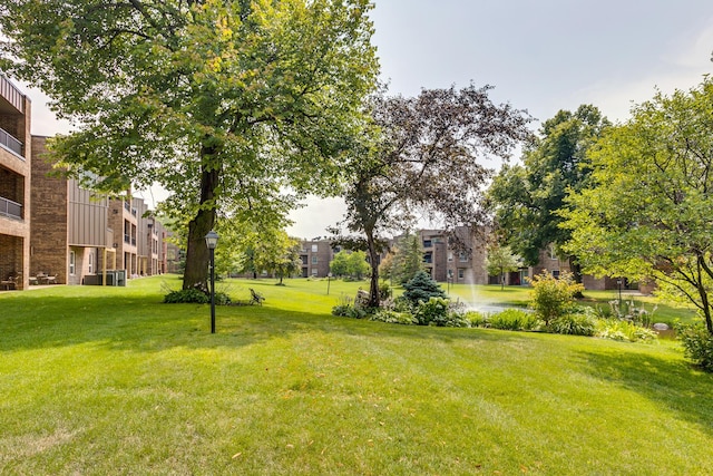 view of yard with a balcony