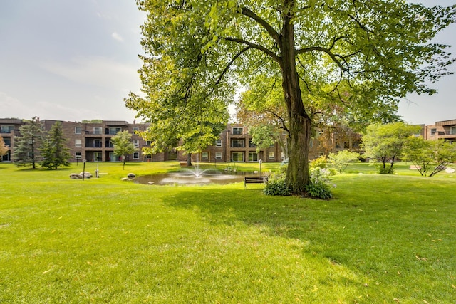 view of community with a water view and a yard