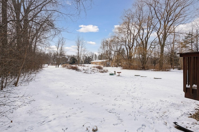 view of yard covered in snow