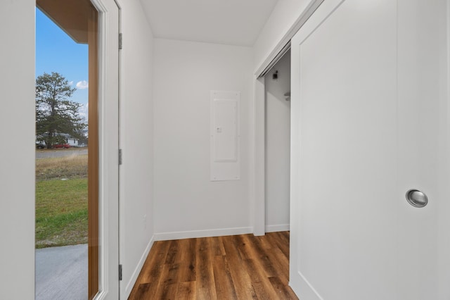 corridor with dark wood-type flooring and electric panel