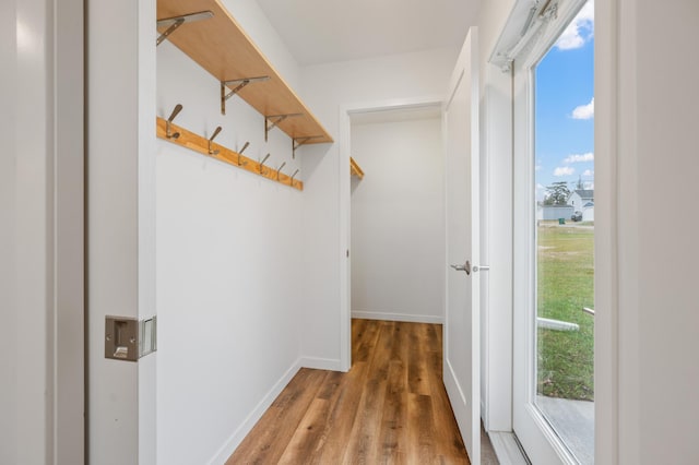 interior space with wood-type flooring