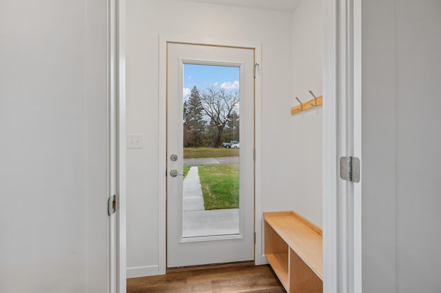 doorway to outside with wood-type flooring