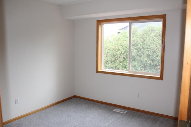 empty room with carpet floors and a wealth of natural light