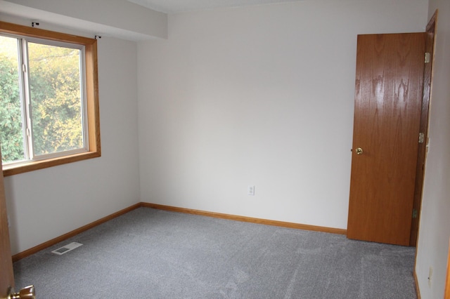 carpeted empty room featuring a healthy amount of sunlight