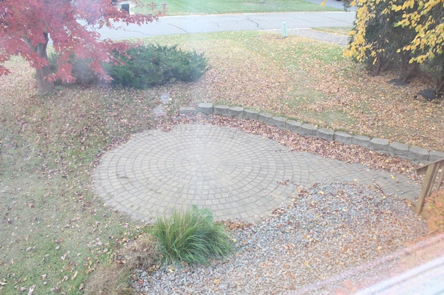 view of yard featuring a patio area