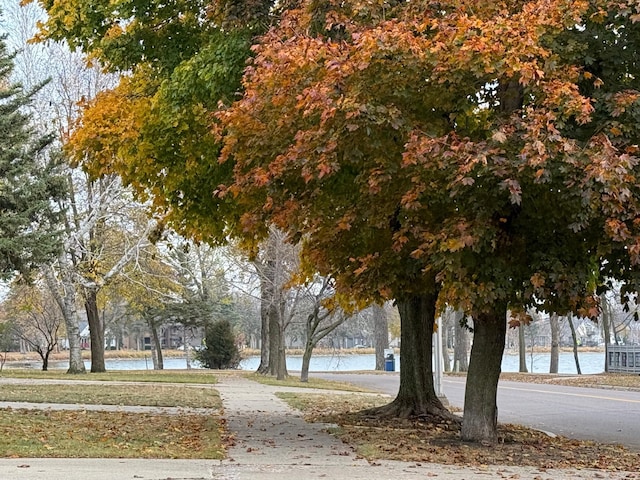 view of home's community with a water view