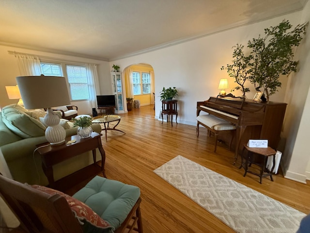 living room featuring ornamental molding and light hardwood / wood-style floors