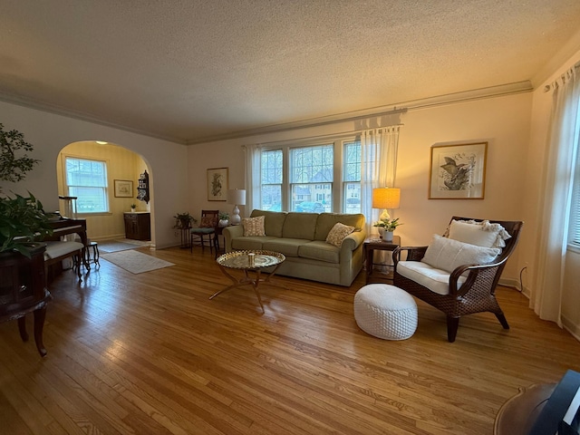 living room featuring crown molding, hardwood / wood-style flooring, and a textured ceiling