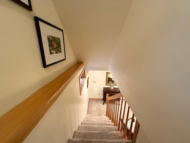 staircase with carpet flooring