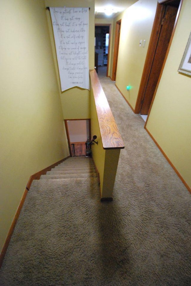 stairs with carpet flooring