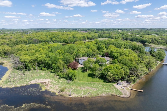 5441 Raven Point Rd, Spring Lake Twp, MN 55372 - aerial view of a heavily wooded area and a nearby body of water