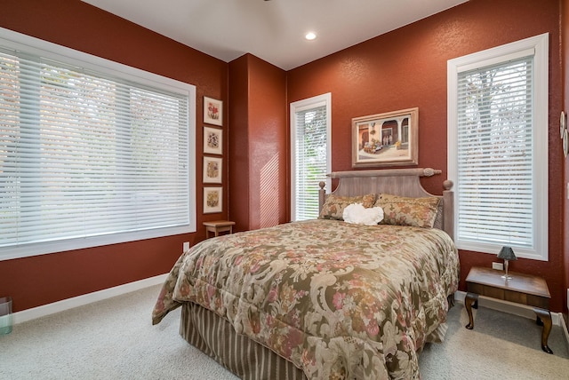 5441 Raven Point Rd, Spring Lake Twp, MN 55372 - bedroom with carpet and baseboards