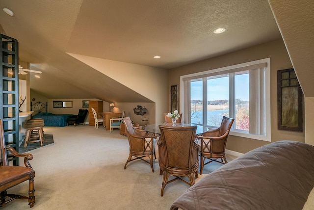 5441 Raven Point Rd, Spring Lake Twp, MN 55372 - dining room featuring carpet floors, a textured ceiling, recessed lighting, and baseboards