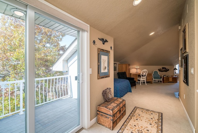 5441 Raven Point Rd, Spring Lake Twp, MN 55372 - interior space with a textured ceiling, carpet floors, and lofted ceiling