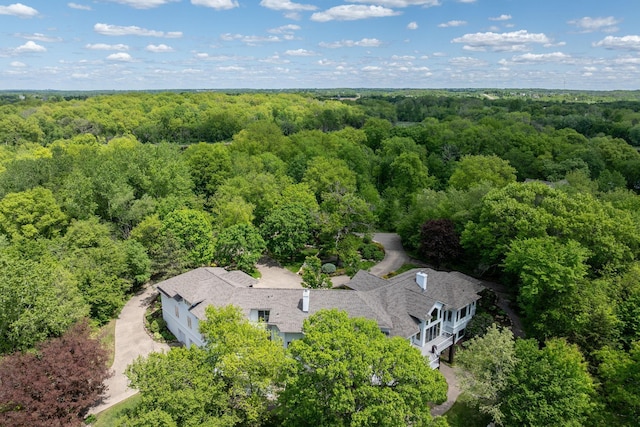 5441 Raven Point Rd, Spring Lake Twp, MN 55372 - bird's eye view of a heavily wooded area