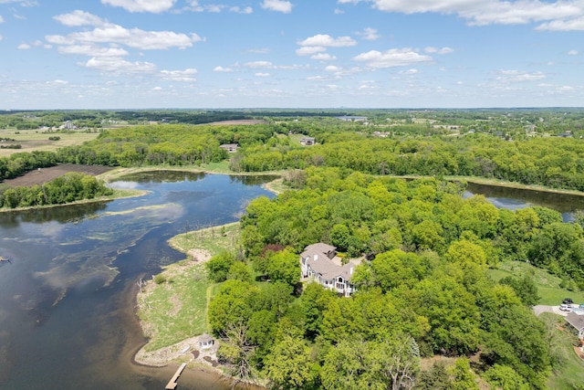 5441 Raven Point Rd, Spring Lake Twp, MN 55372 - bird's eye view of a large body of water and a forest