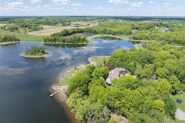 5441 Raven Point Rd, Spring Lake Twp, MN 55372 - drone / aerial view of a nearby body of water and a forest
