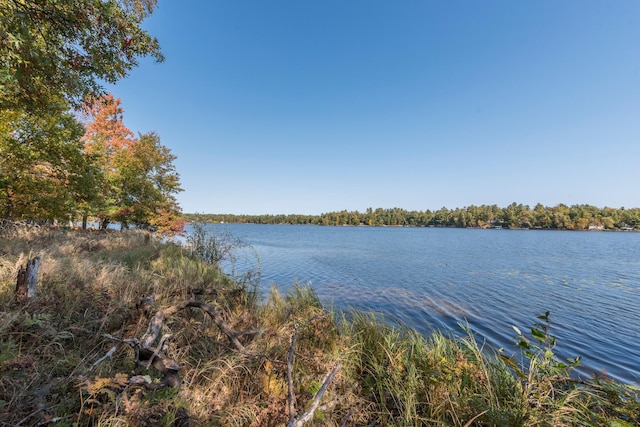 Listing photo 3 for 24561 Perrin Pt, Nisswa MN 56468