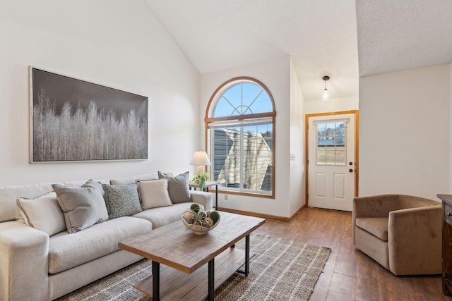 living room featuring wood-type flooring and high vaulted ceiling