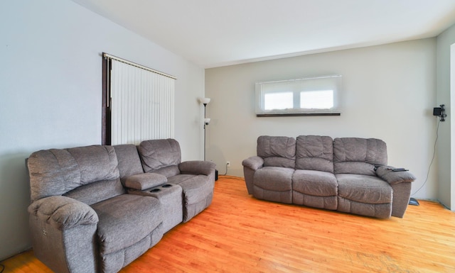 living room with hardwood / wood-style flooring