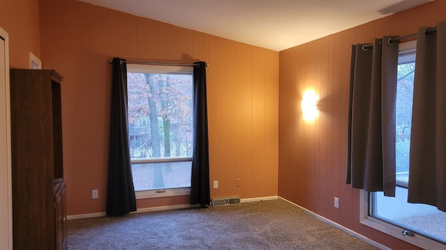 carpeted empty room featuring a wealth of natural light and wood walls