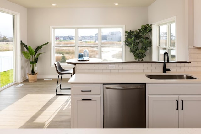 kitchen with stainless steel dishwasher, a wealth of natural light, and sink