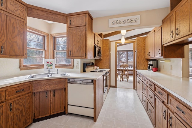 kitchen with a sink, stainless steel microwave, plenty of natural light, range with electric stovetop, and white dishwasher