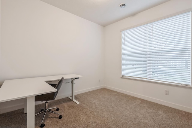 office space featuring carpet floors