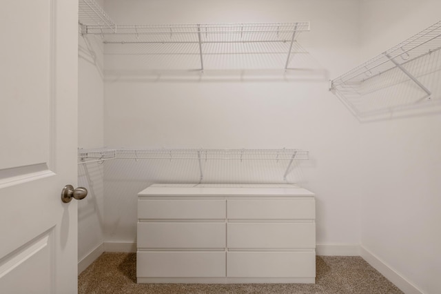 spacious closet with carpet floors