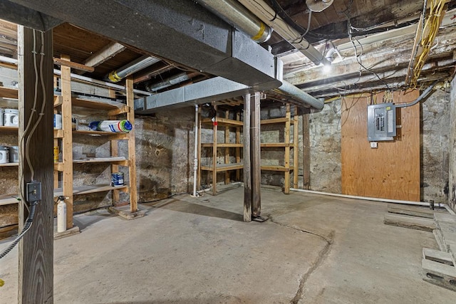 basement with electric panel