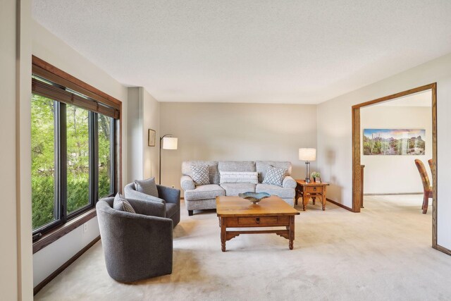 living area featuring plenty of natural light, baseboards, a textured ceiling, and light colored carpet